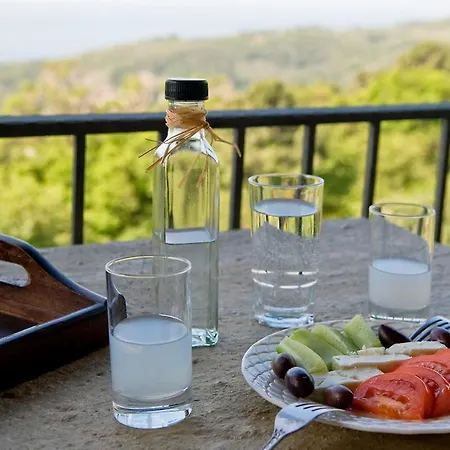 Mountain Agrokipio At Milies Of Mt. Pelion Lodge Miléai